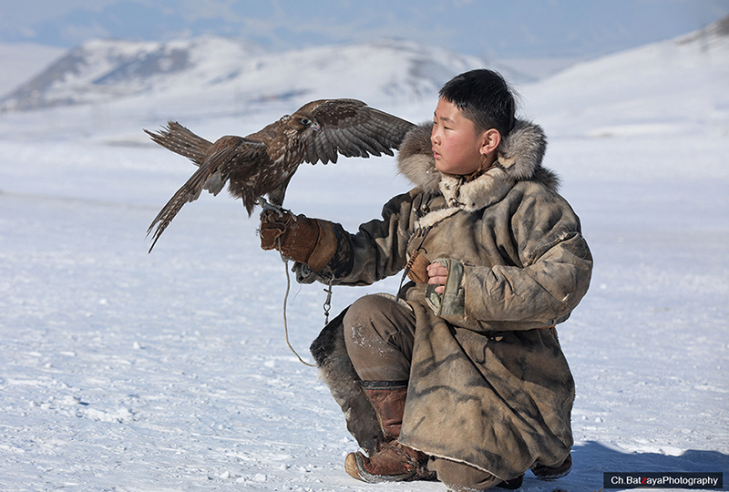 mongolia falconry young gen